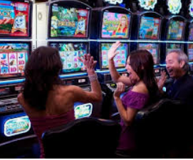 ayx大厅手机版登录入口2024最新版