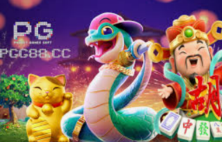 ayx大厅手机版登录入口2024最新版