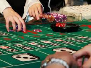 ayx大厅手机版登录入口免费版